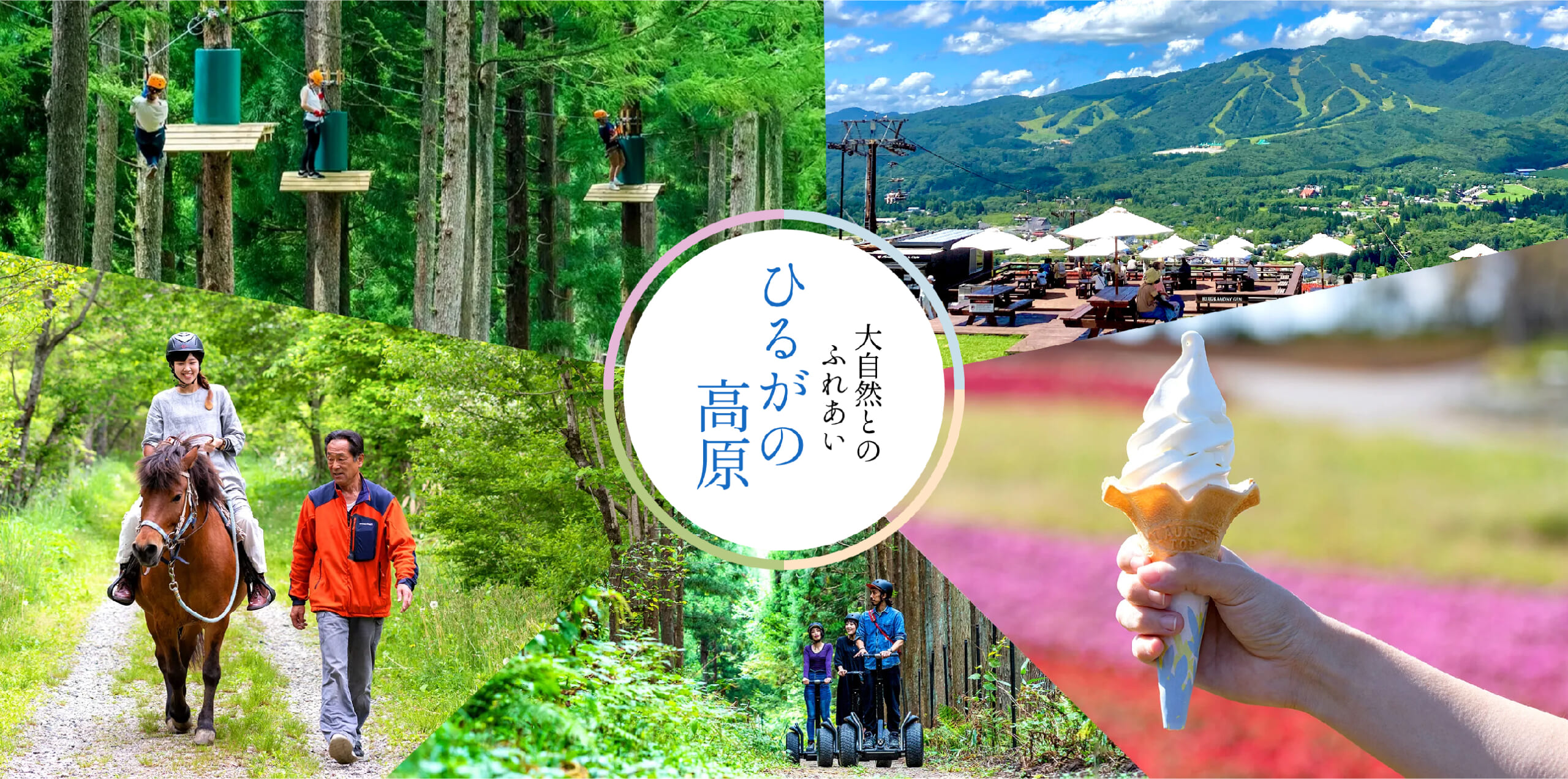 自然とのふれあい「ひるがの高原」