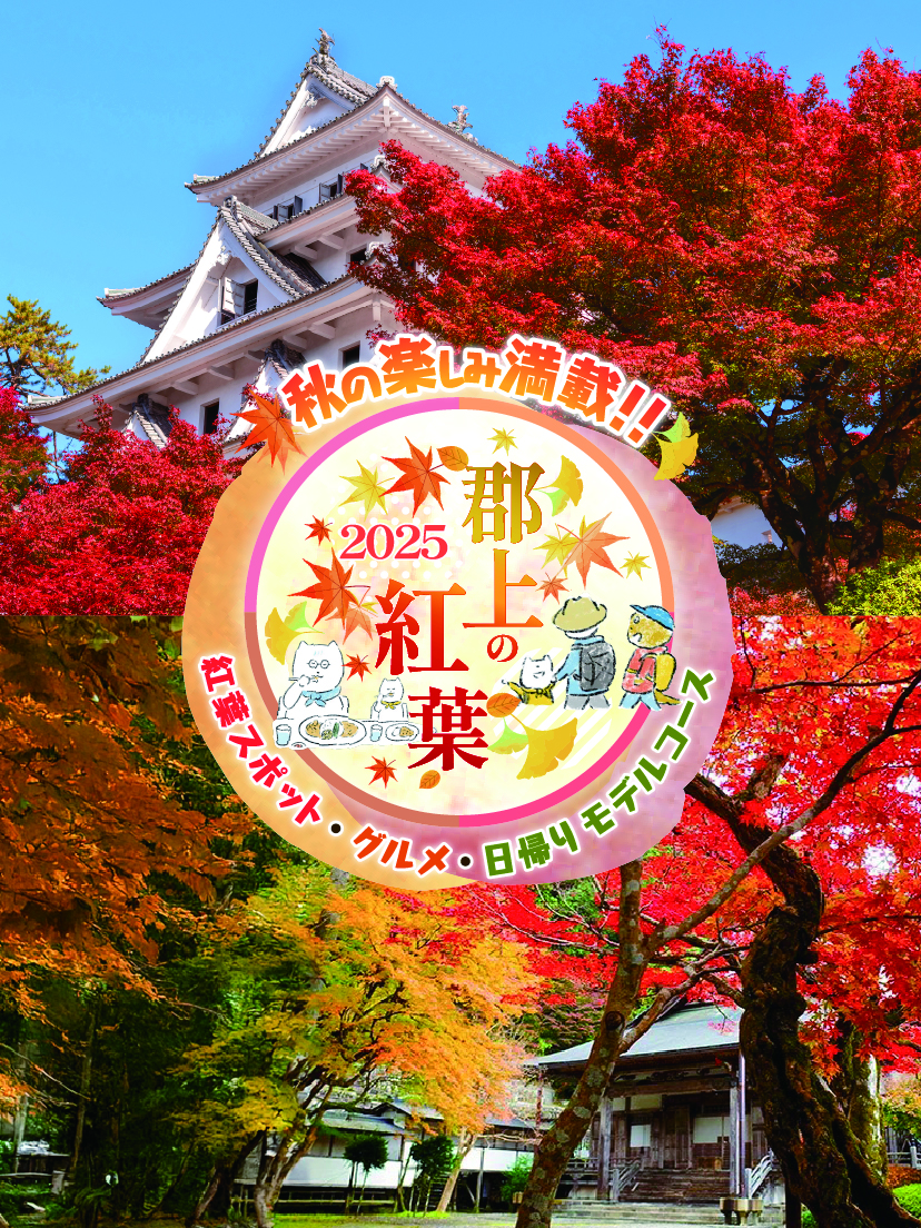 2025郡上の紅葉