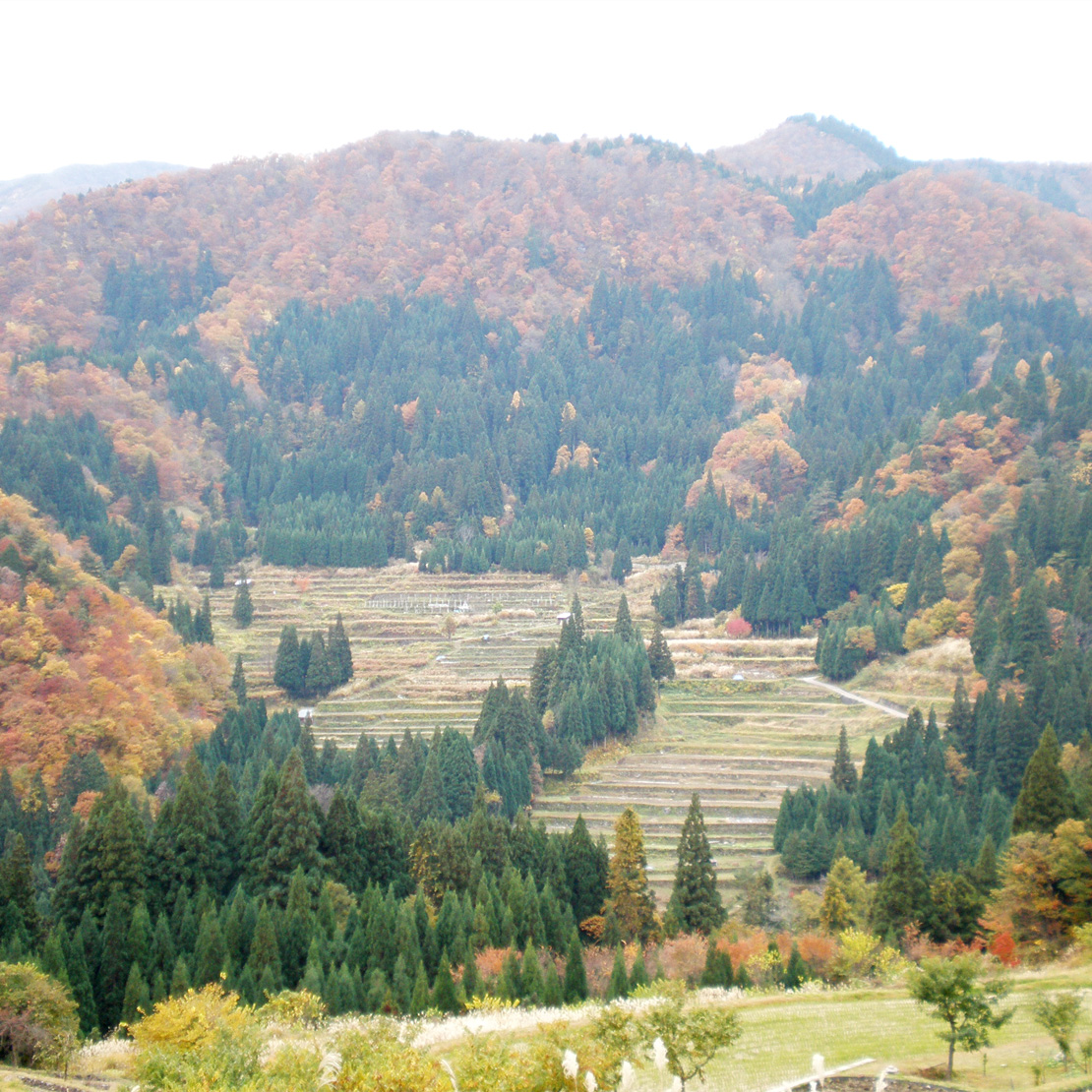 郡上の風土1