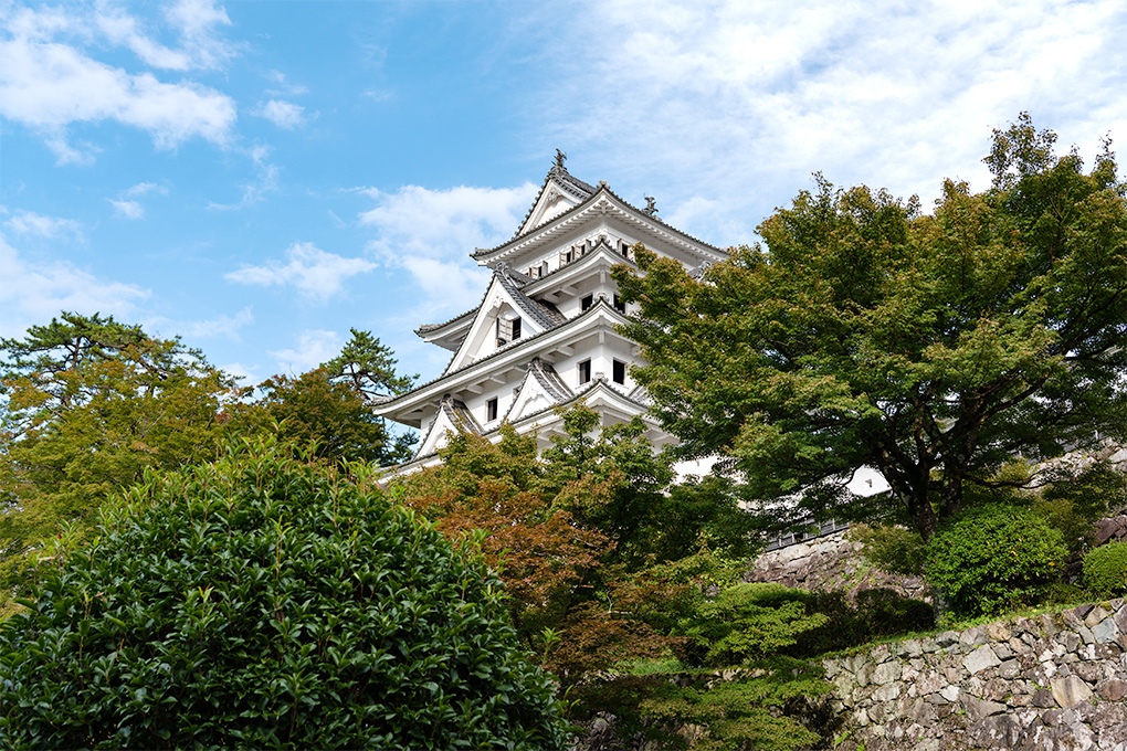 郡上八幡城