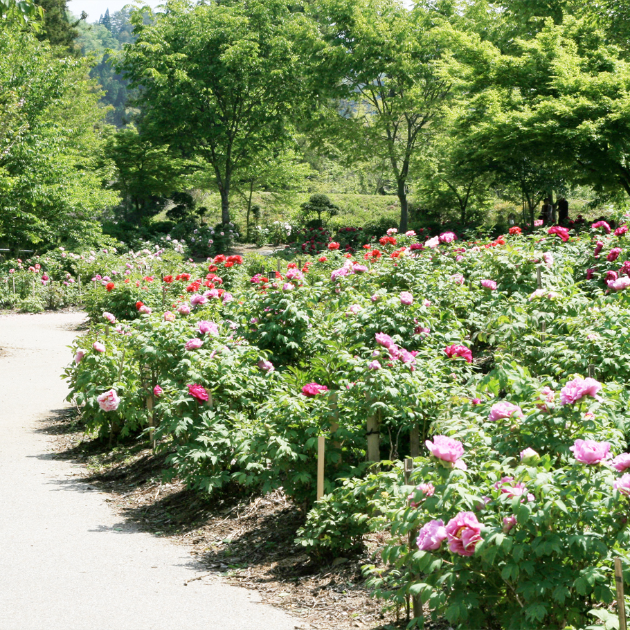 Toshi-yakataato-teien (Remains of To Family Mansion Garden)3