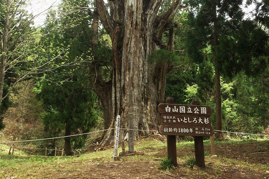 Hakusan Culture Museum1