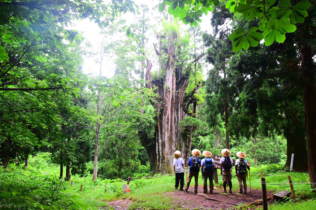 Enjoying Itoshiro's outdoor activities in the nature-rich field