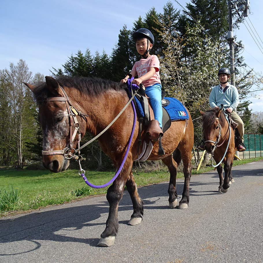  Sense the plateau breeze and deep greenery by horse riding