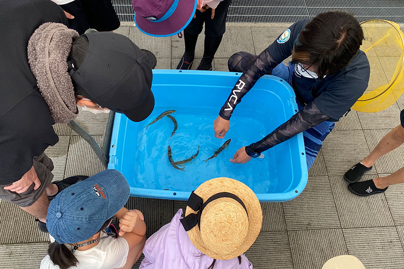 清流長良川あゆパーク2